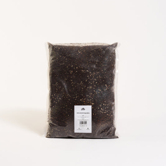 Náš substrát - Kapradiny