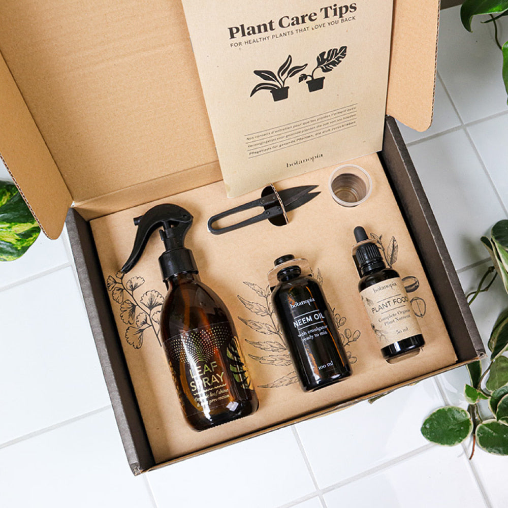 Dárkový box pro péči o pokojovky