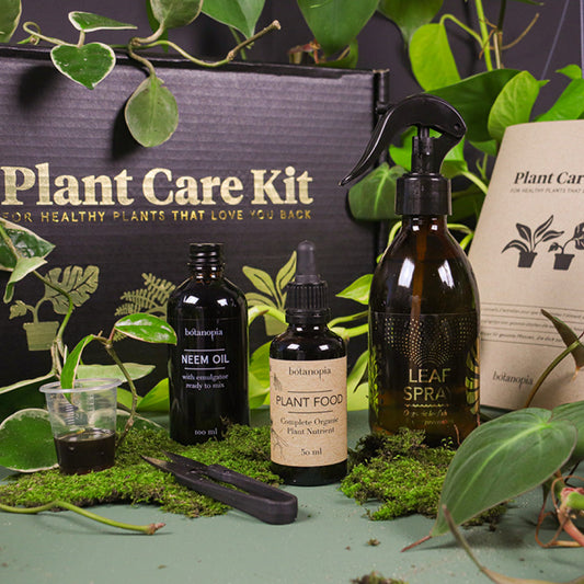 Dárkový box pro péči o pokojovky