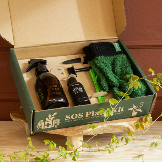 SOS dárkový box první pomoci pro pokojovky