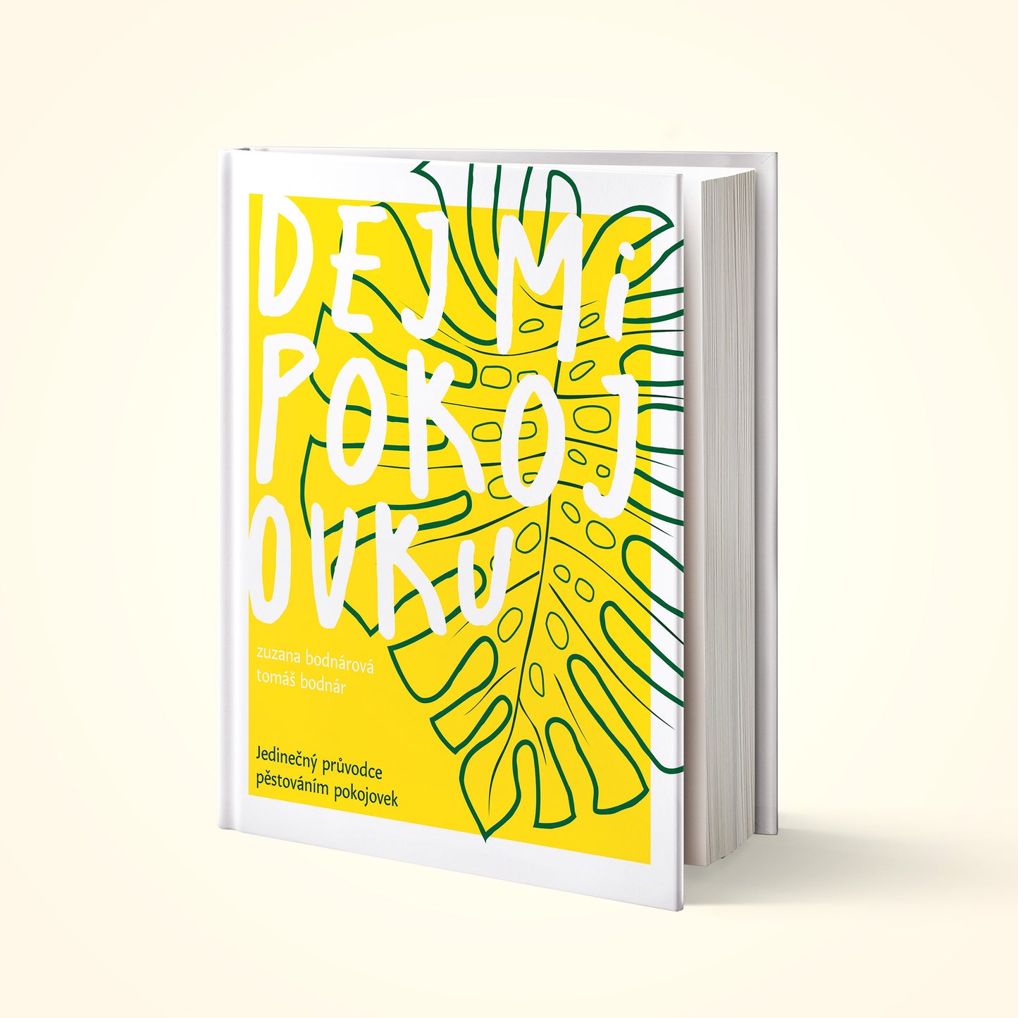 Naše kniha: Dej mi pokojovku