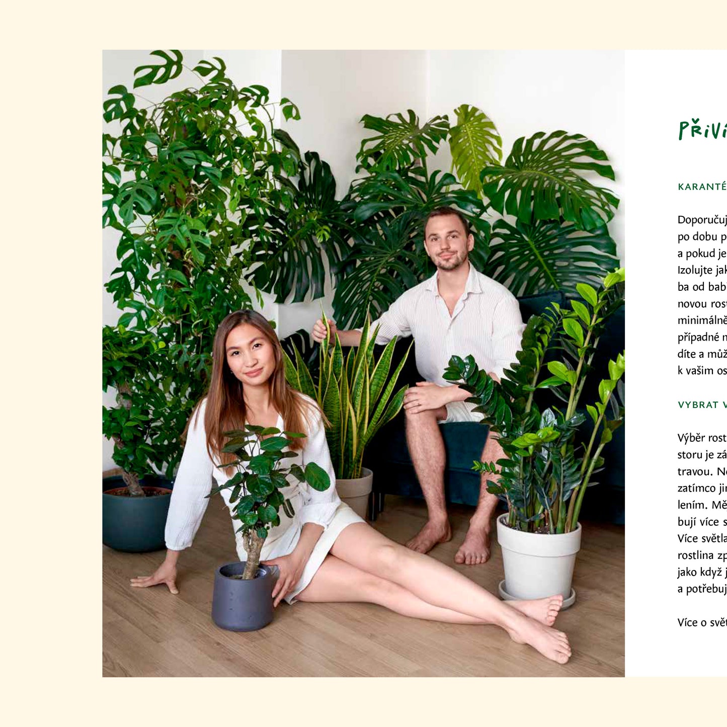 Naše kniha: Dej mi pokojovku