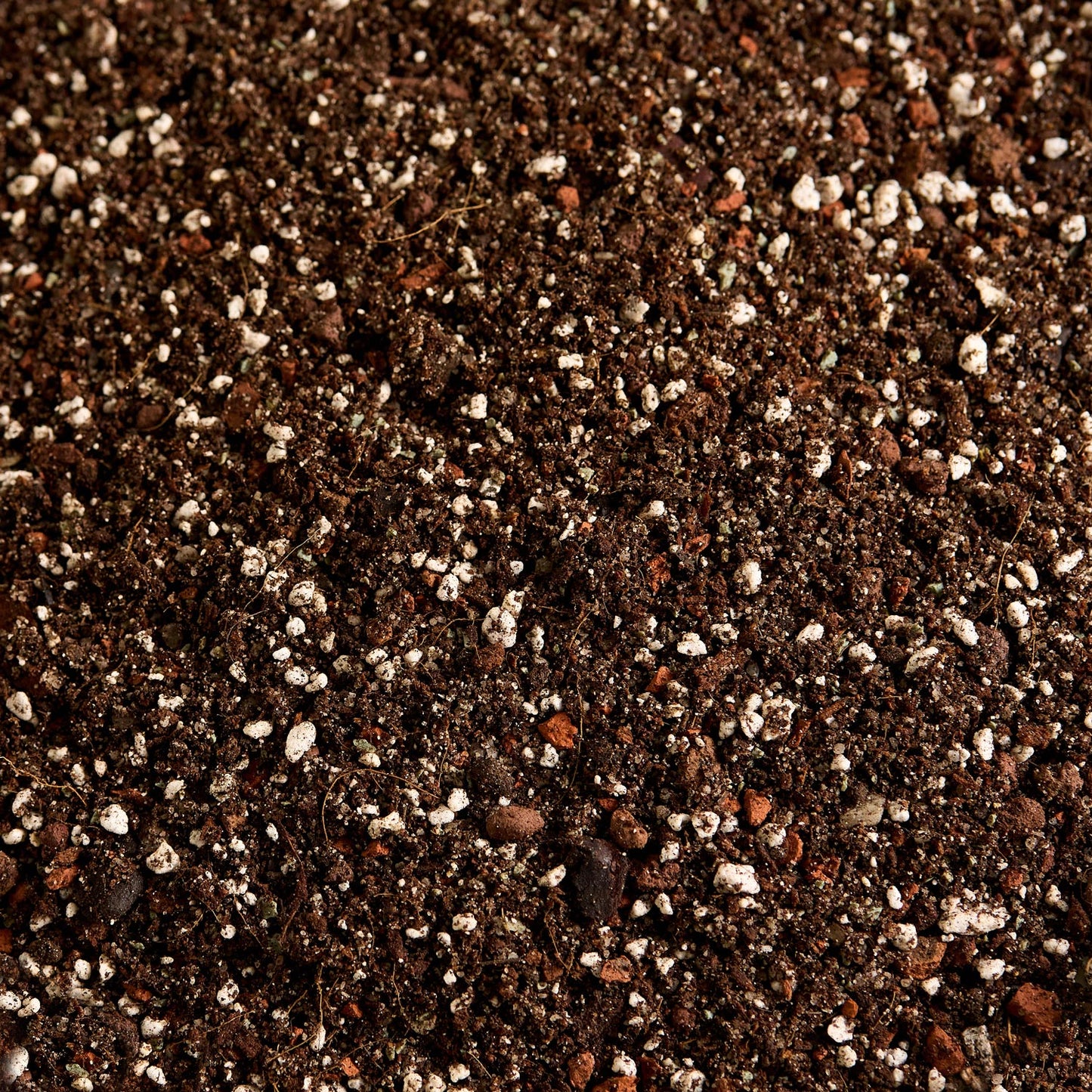 Náš substrát bez rašeliny - Sukulent