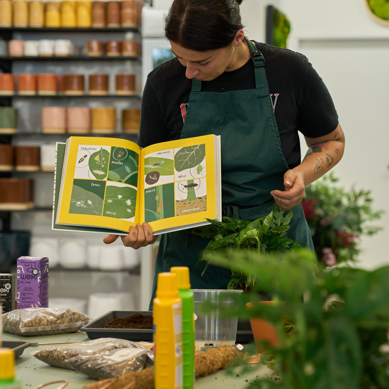 Workshop: Péče o pokojovky a jejich přesazování
