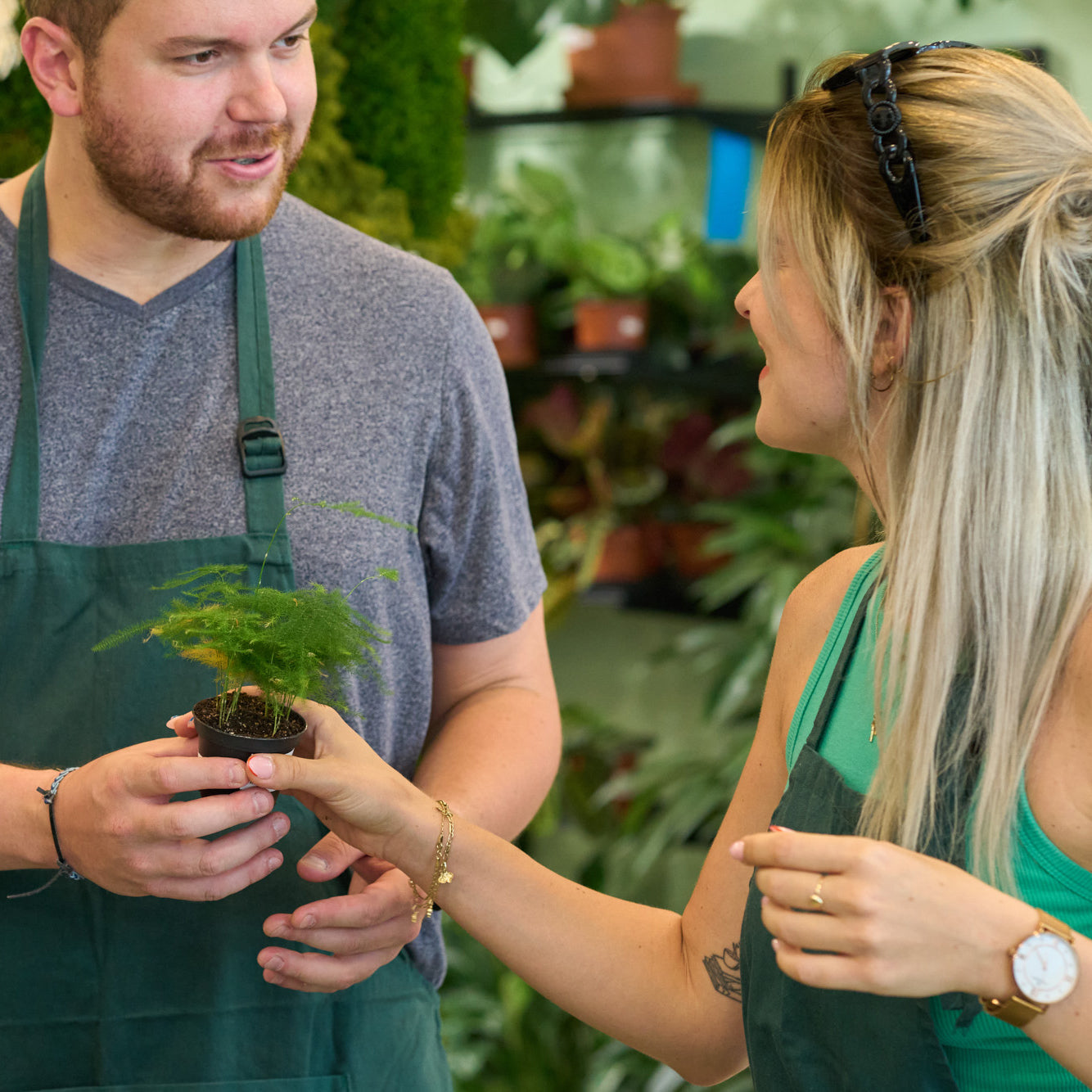 Make your own Terrarium – Workshop in English