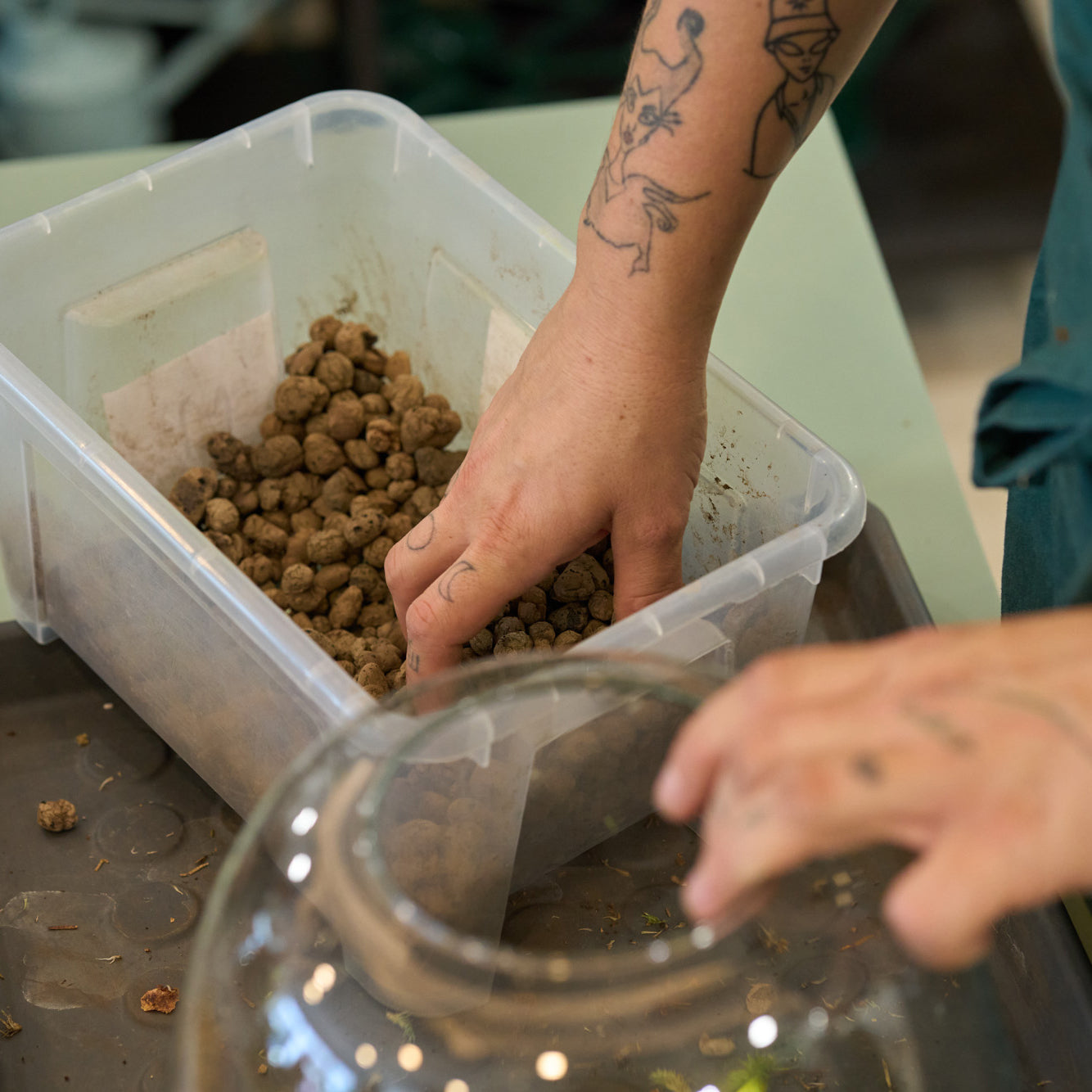 Make your own Terrarium – Workshop in English