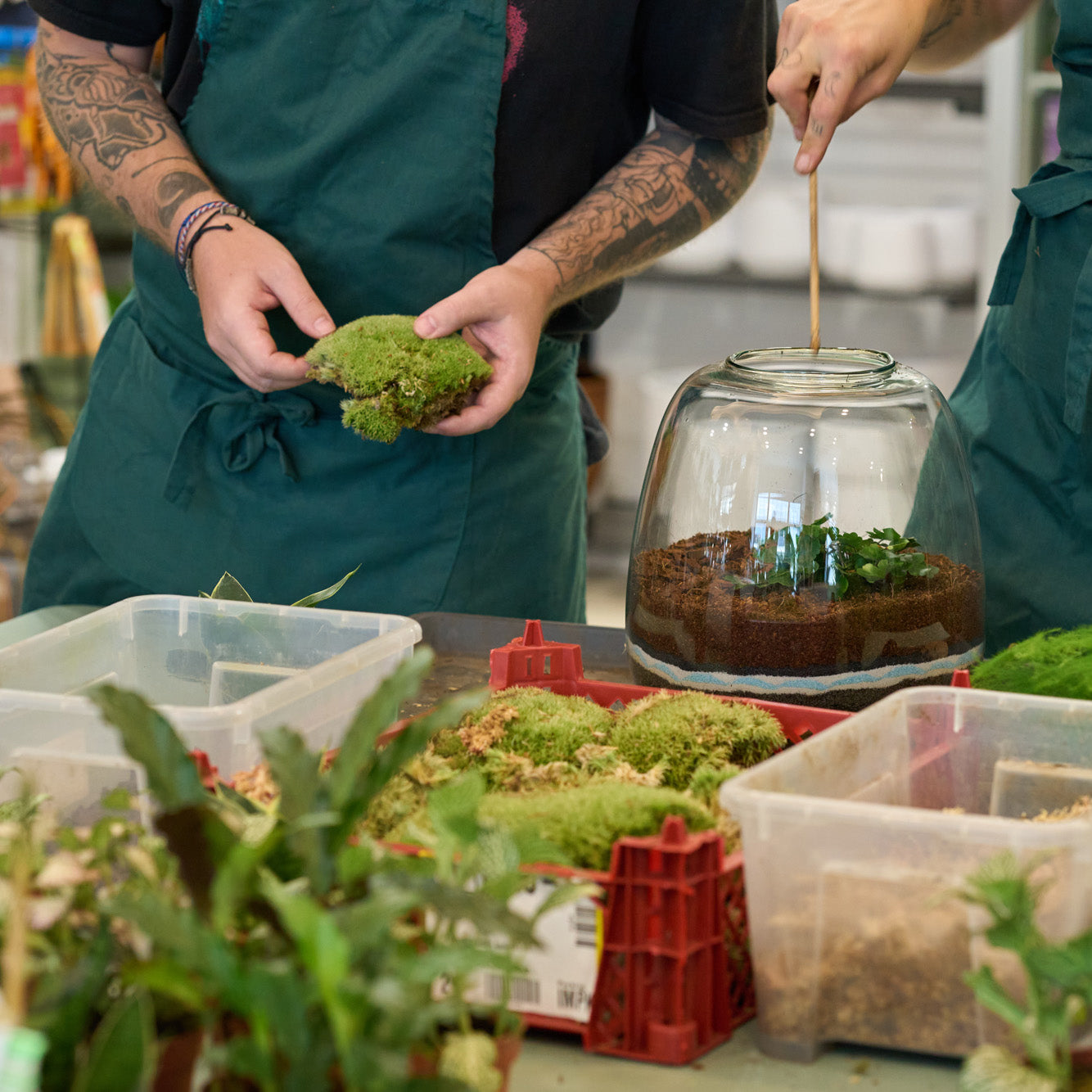 Make your own Terrarium – Workshop in English