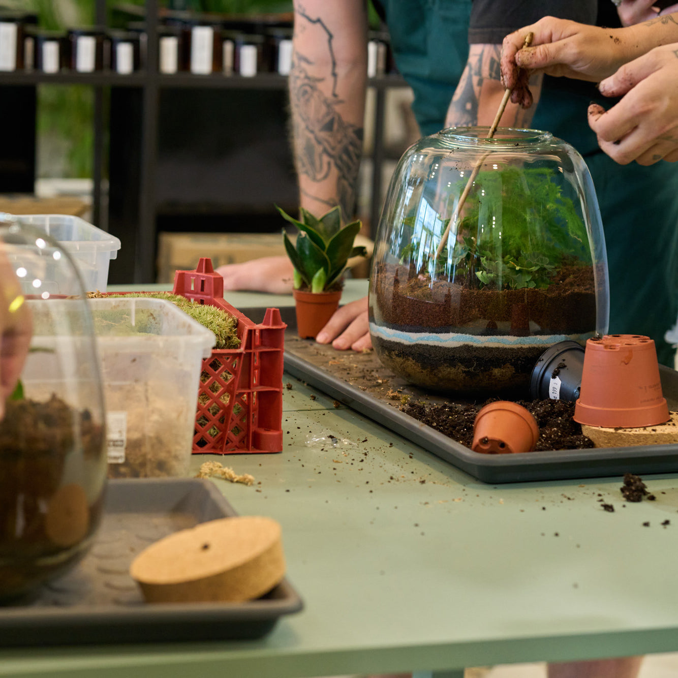 Make your own Terrarium – Workshop in English