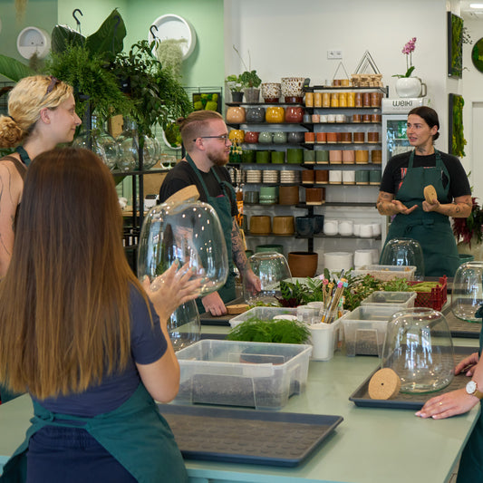 Make your own Terrarium – Workshop in English