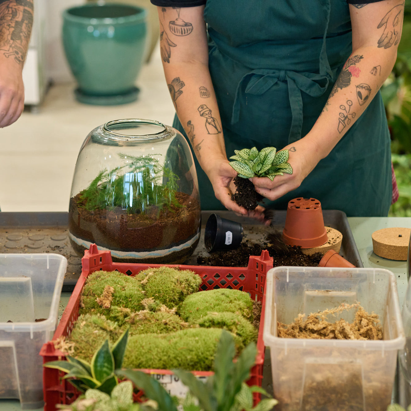 Make your own Terrarium – Workshop in English