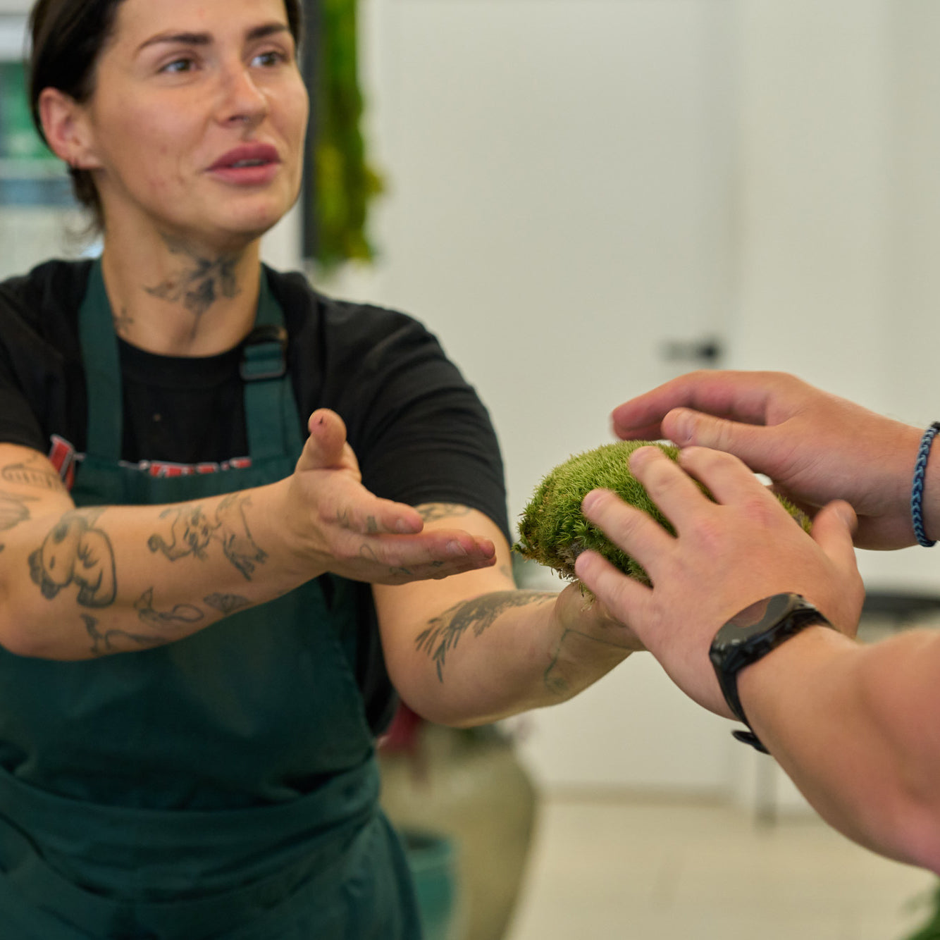 Make your own Terrarium – Workshop in English