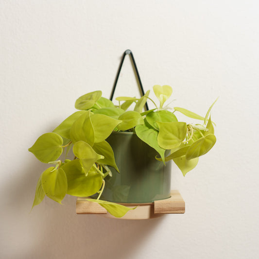 Držák na květináč Eno