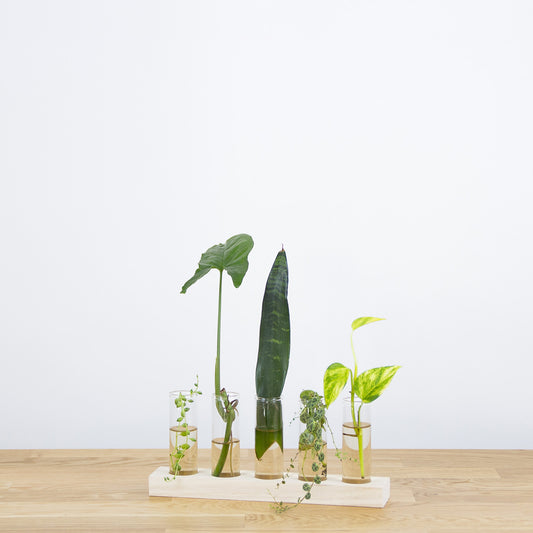 Řízkovací stanice