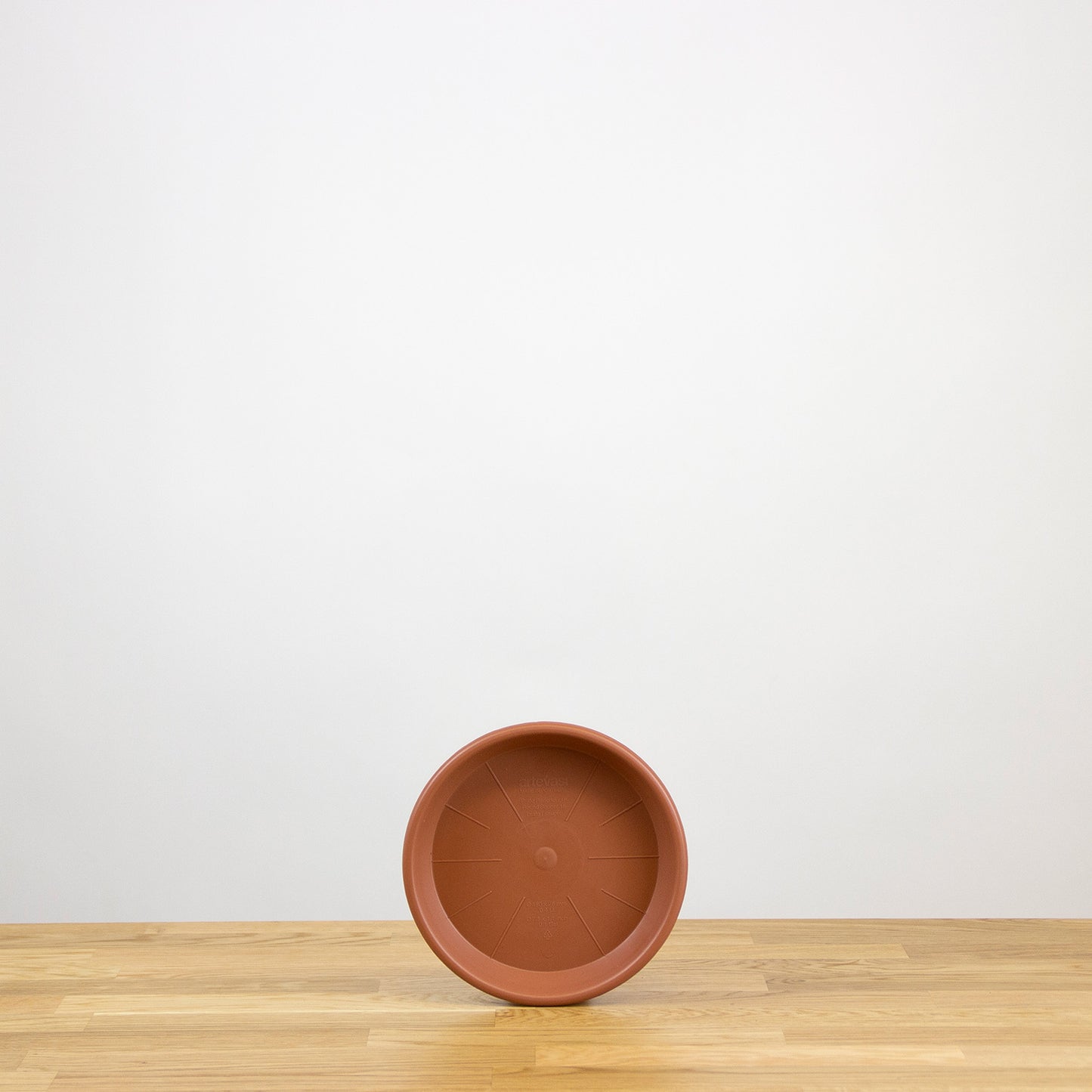 Plastová podmiska Madagascar