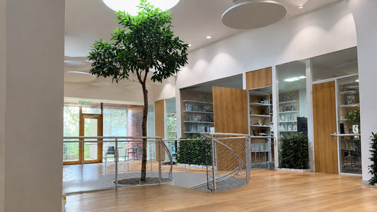 New life for office greenery: the Czech Games Edition revitalization