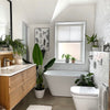 Ideal plants (not only) for bathrooms 