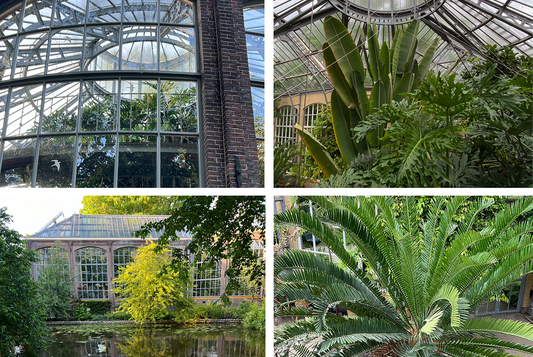 Naše návštěva Holandských pěstitelů