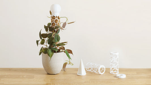 Rašeliníková tyč pro všechny pnoucí pokojovky