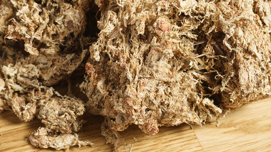 Rašeliník jako skvělá pomůcka při pěstování