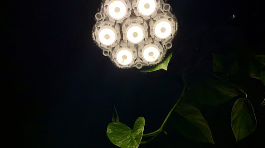 Umělé osvětlení pro pokojovky