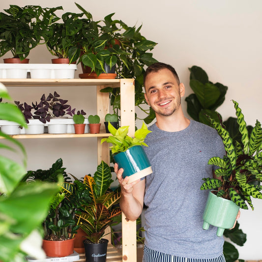 6 kroků, jak balit pokojovky