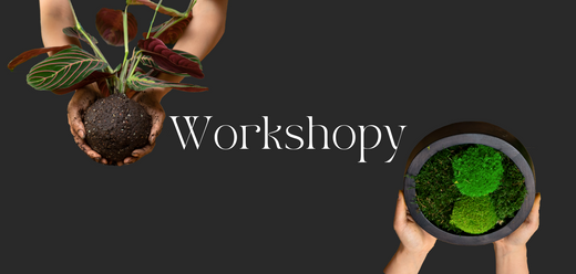 Workshopy plné inspirace a radosti