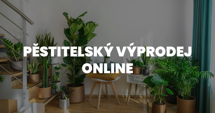 Online pěstitelský výprodej