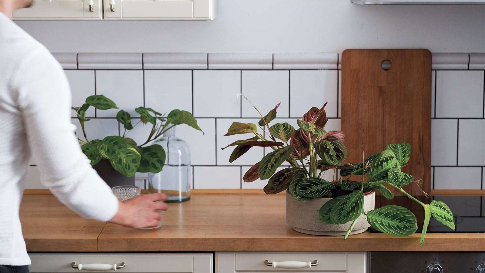 Vhodné k mazlíčkům