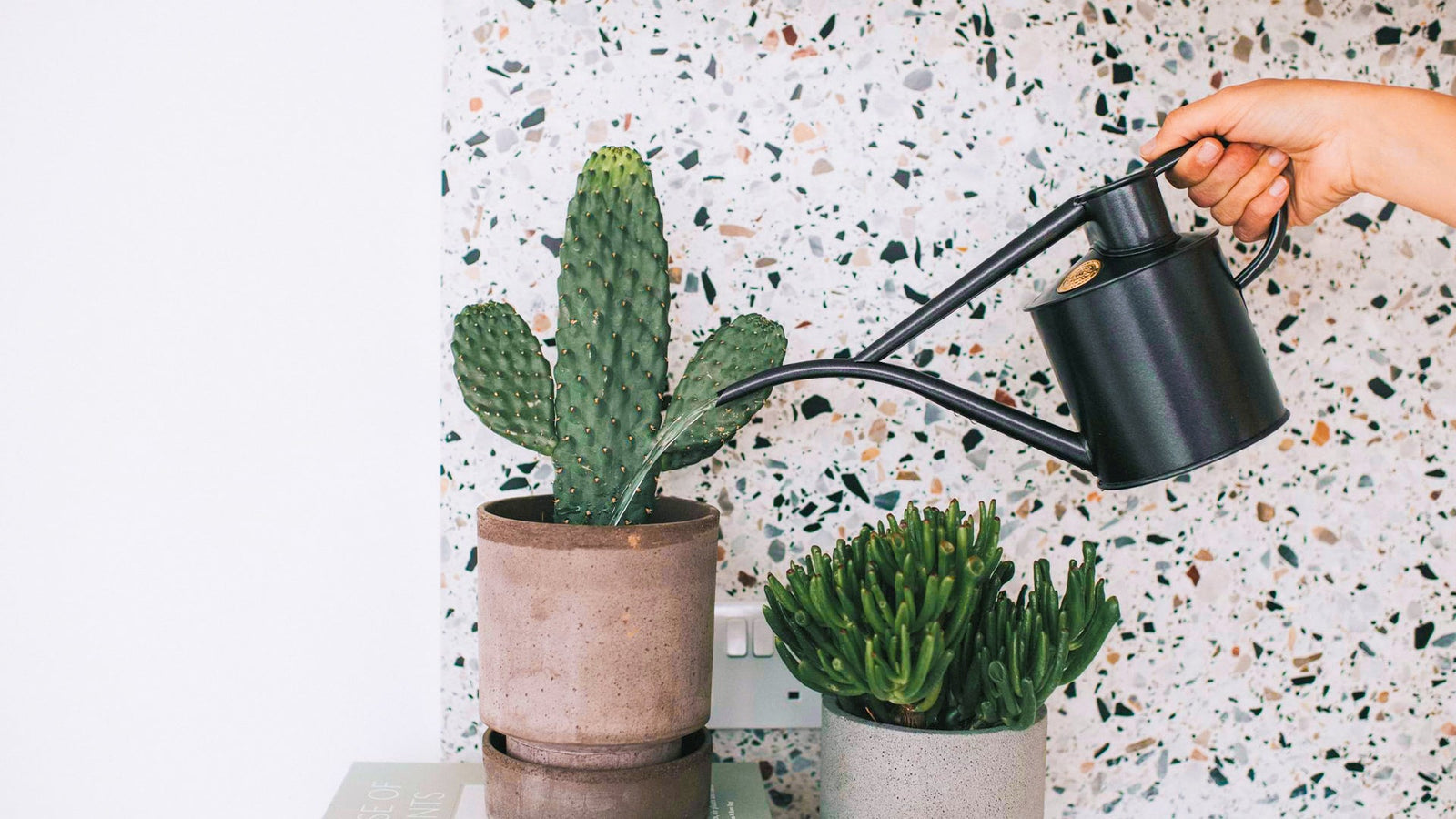 Hnojiva a insekticidy