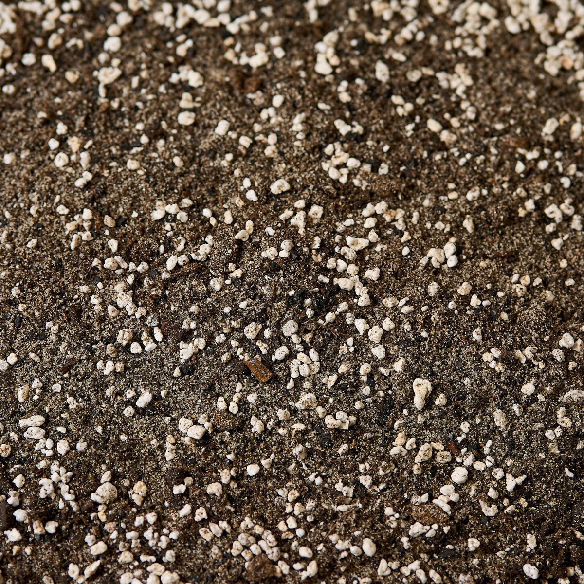 Náš substrát  - Masožravky