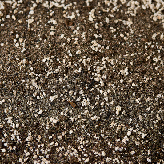 Náš substrát  - Masožravky