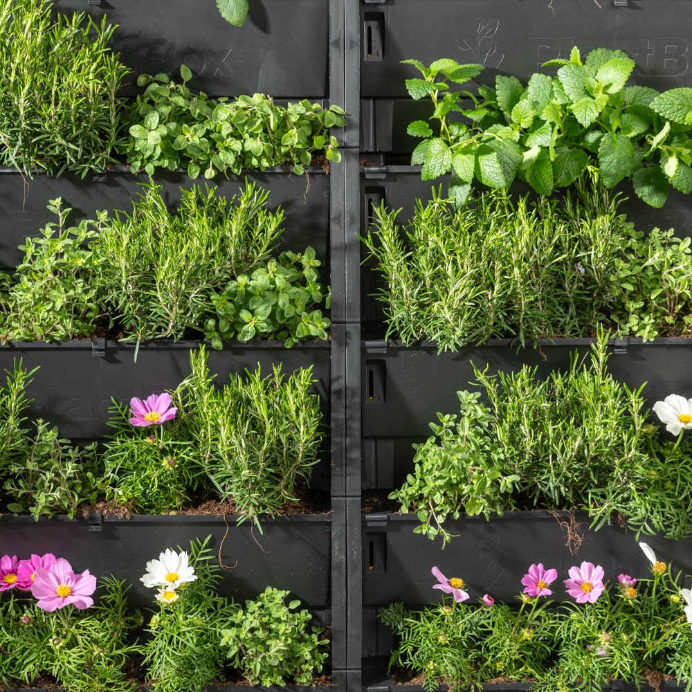 PlantBox - Živá stěna 10 modulů