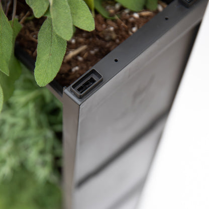 PlantBox - Živá stěna 3 moduly