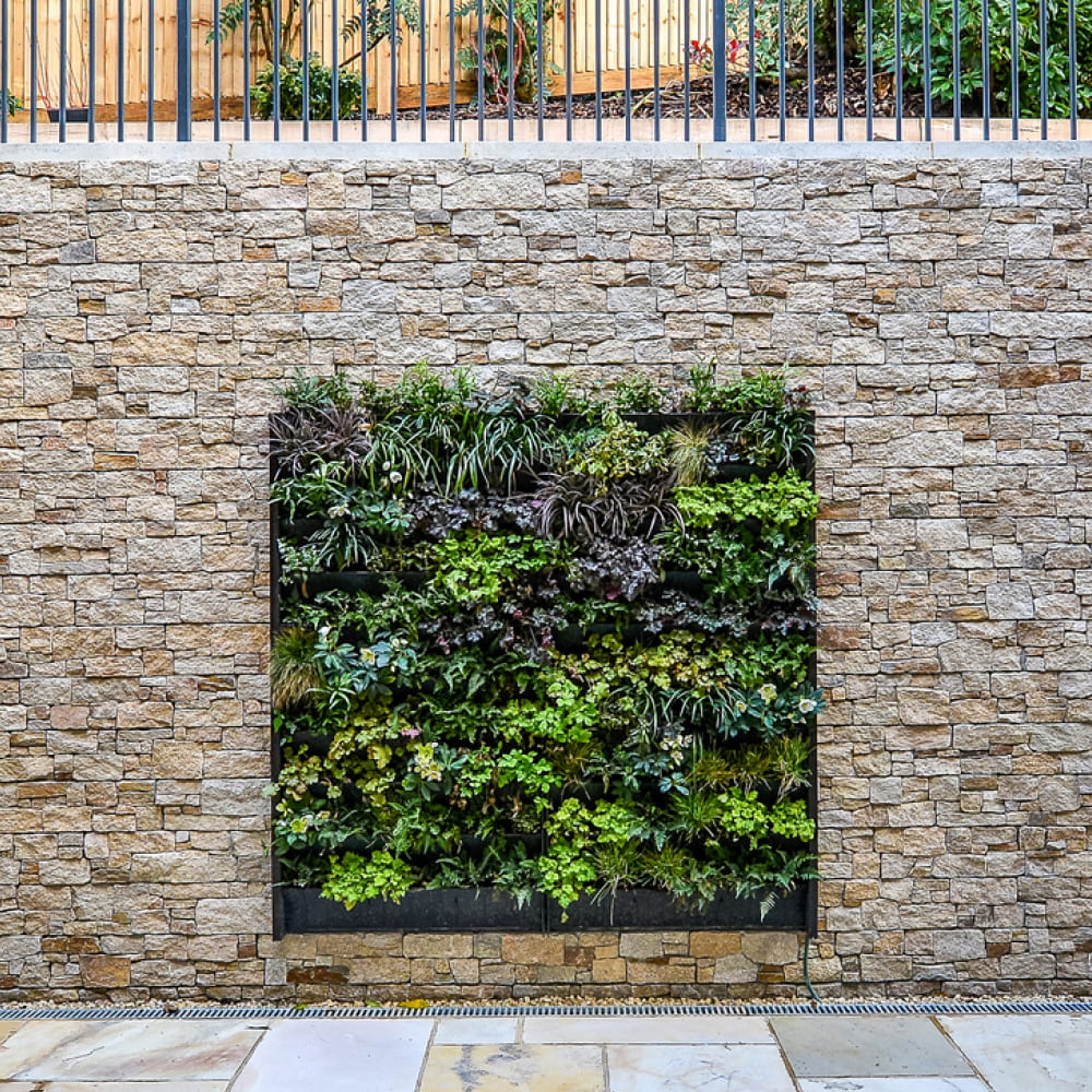 PlantBox - Živá stěna 10 modulů
