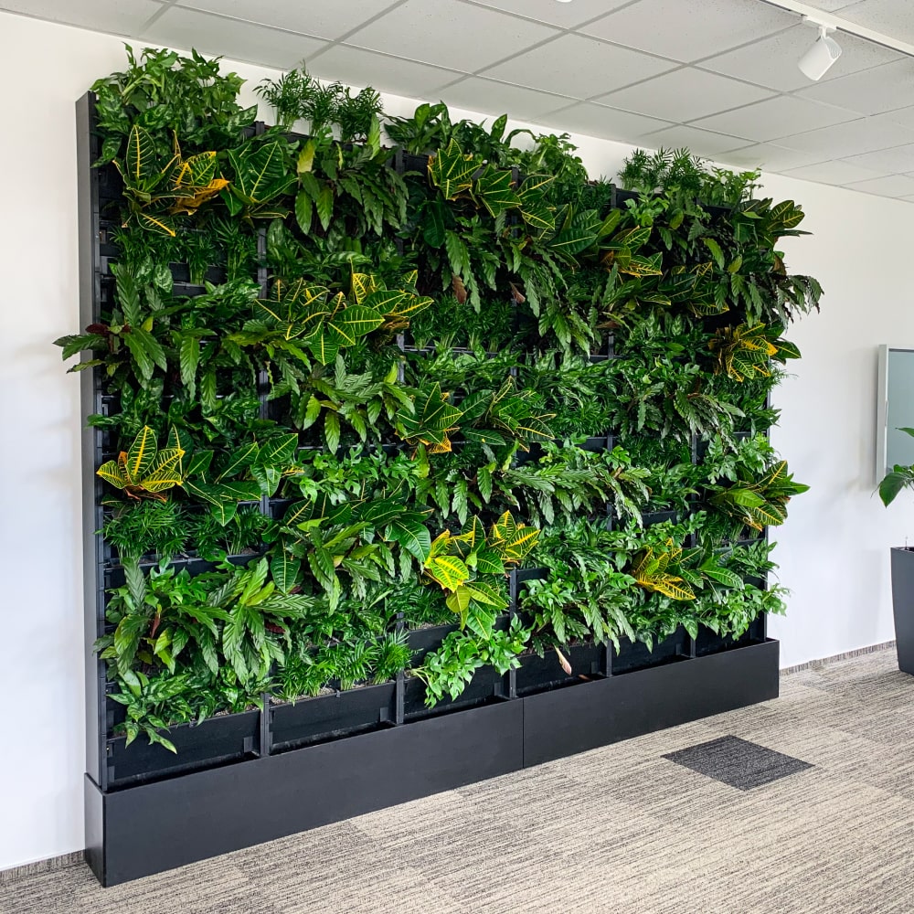 PlantBox - Živá stěna 10 modulů