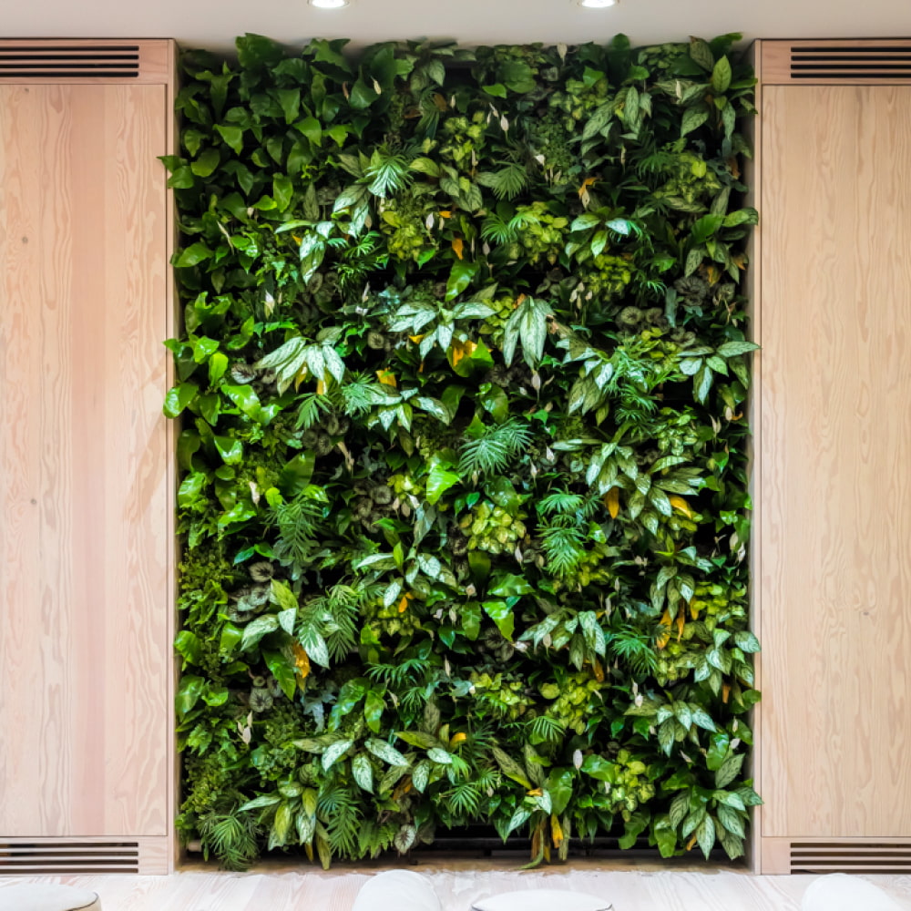 PlantBox - Živá stěna 10 modulů