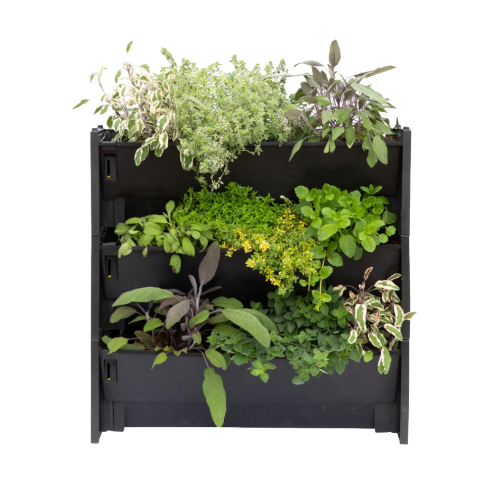 PlantBox - Živá stěna 3 moduly