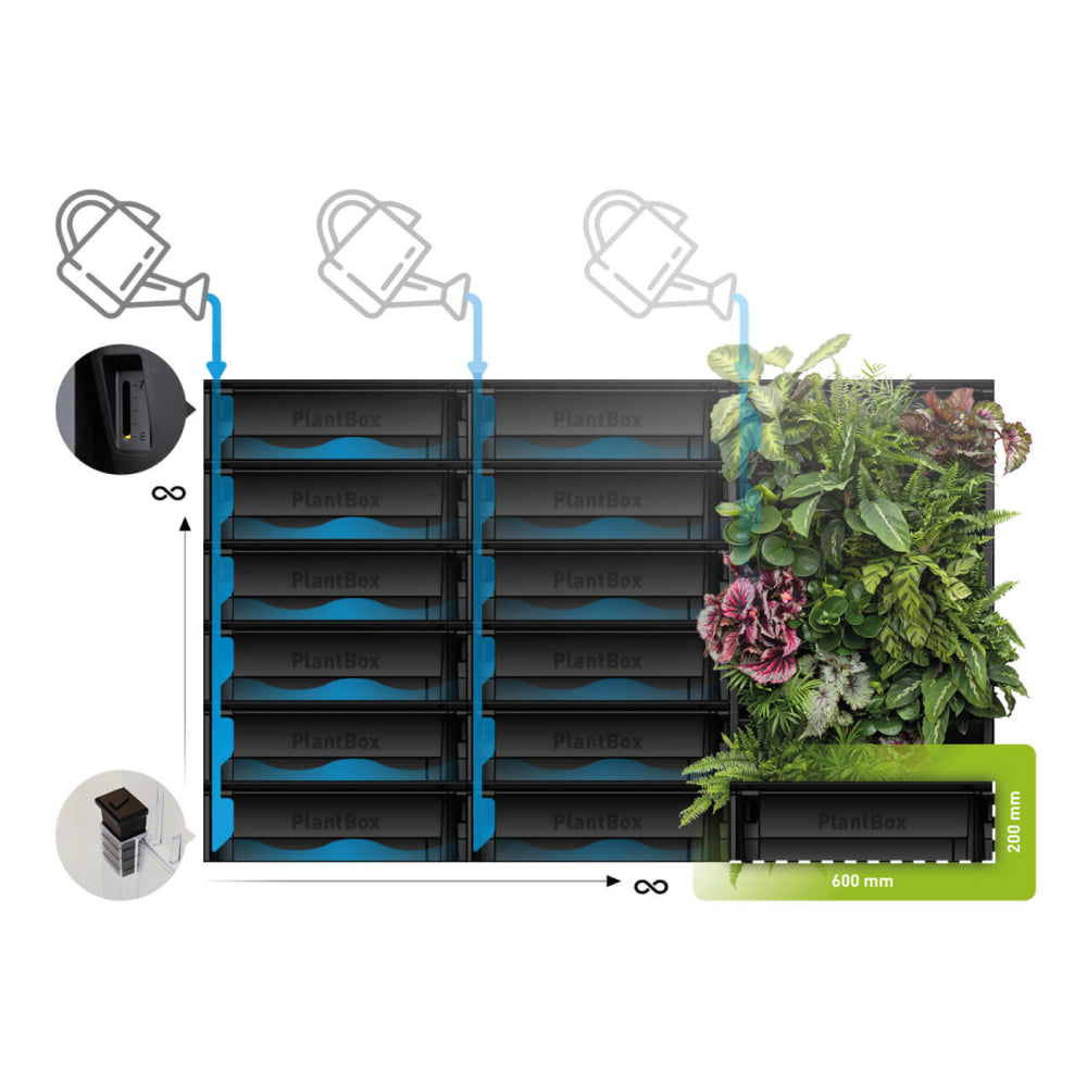 PlantBox - Živá stěna 10 modulů