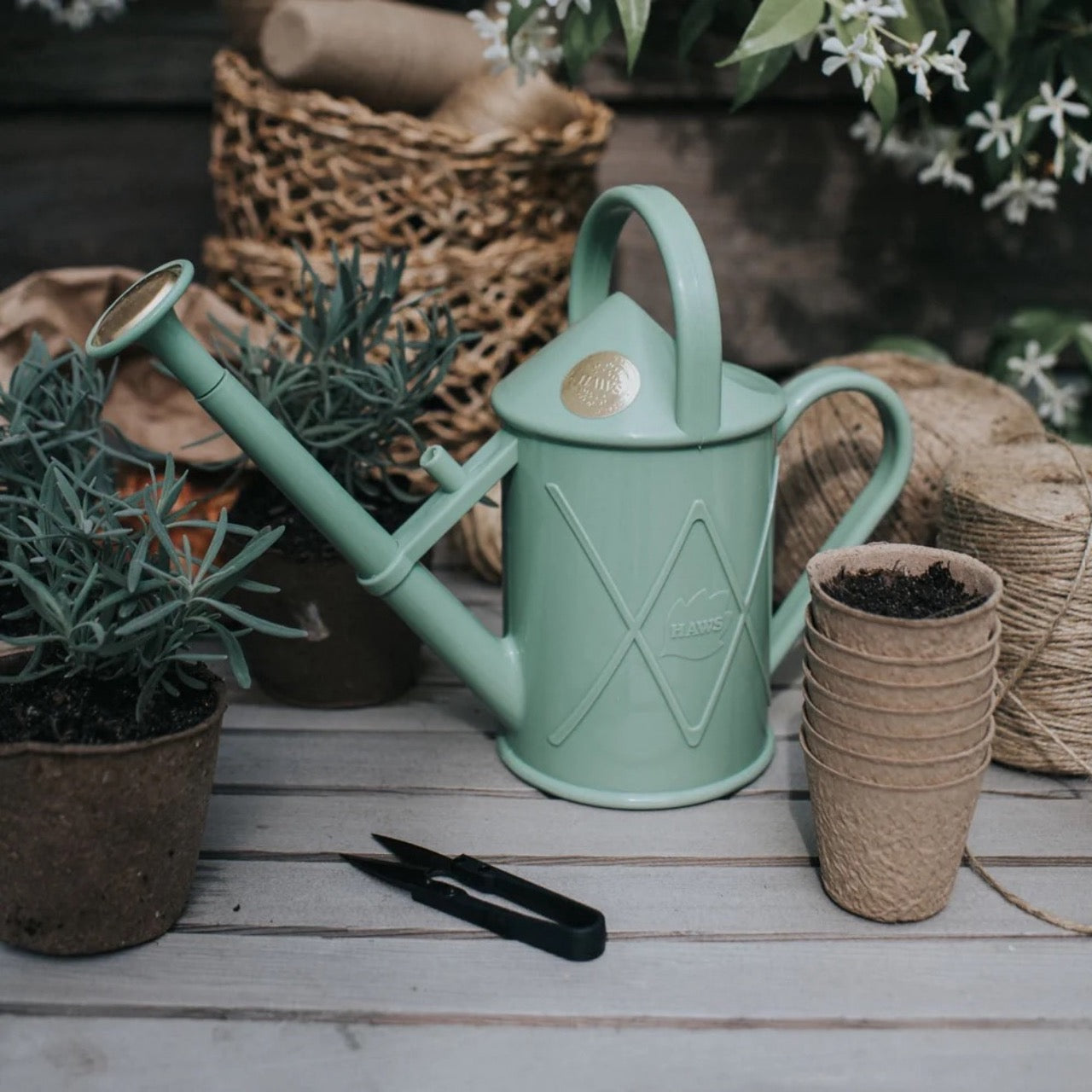 HAWS The Bartley Burbler in Sage konev - 1l