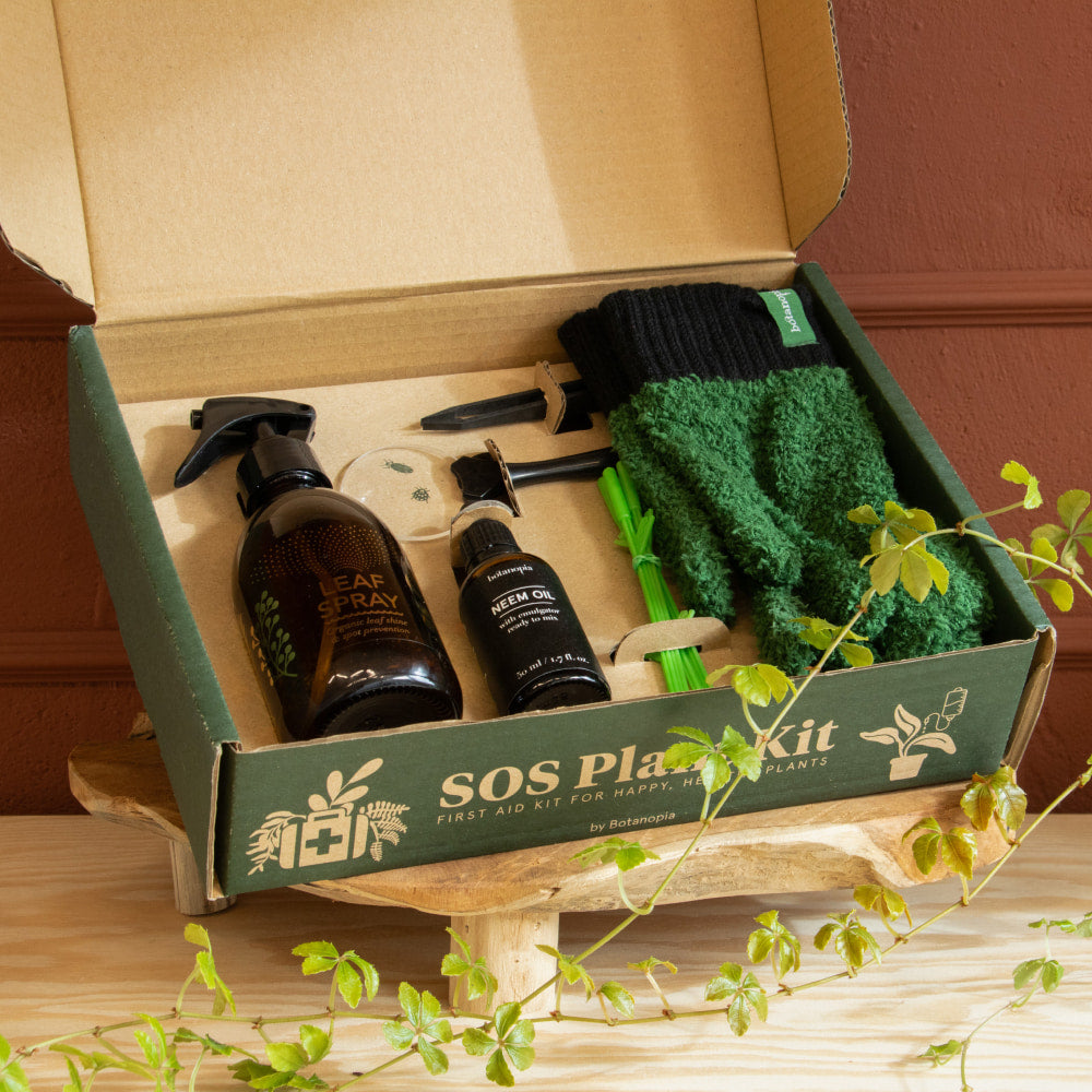 SOS dárkový box první pomoci pro pokojovky