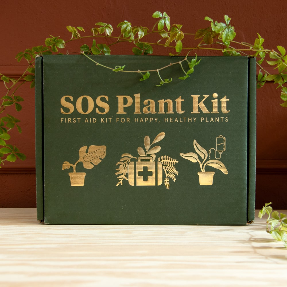 SOS dárkový box první pomoci pro pokojovky
