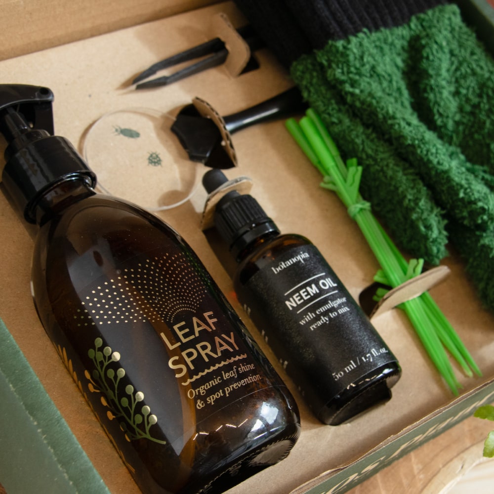 SOS dárkový box první pomoci pro pokojovky