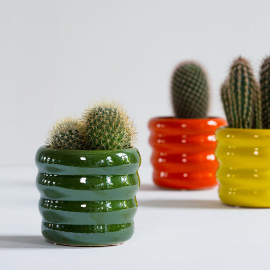 Obal na květináč Bubbee Žlutá