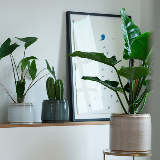 Obal na květináč Conica modrošedá