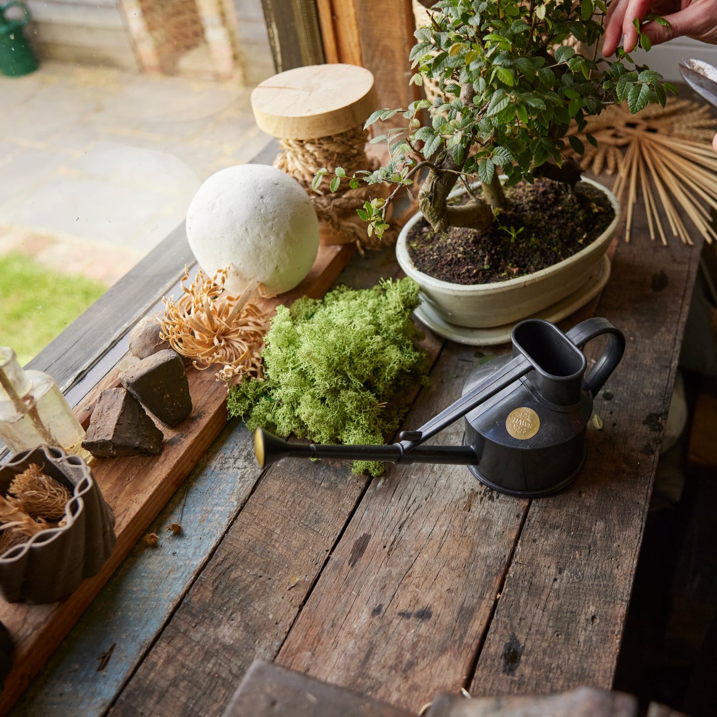 HAWS The Langley Sprinkler Recycled Black konev - 0,56l