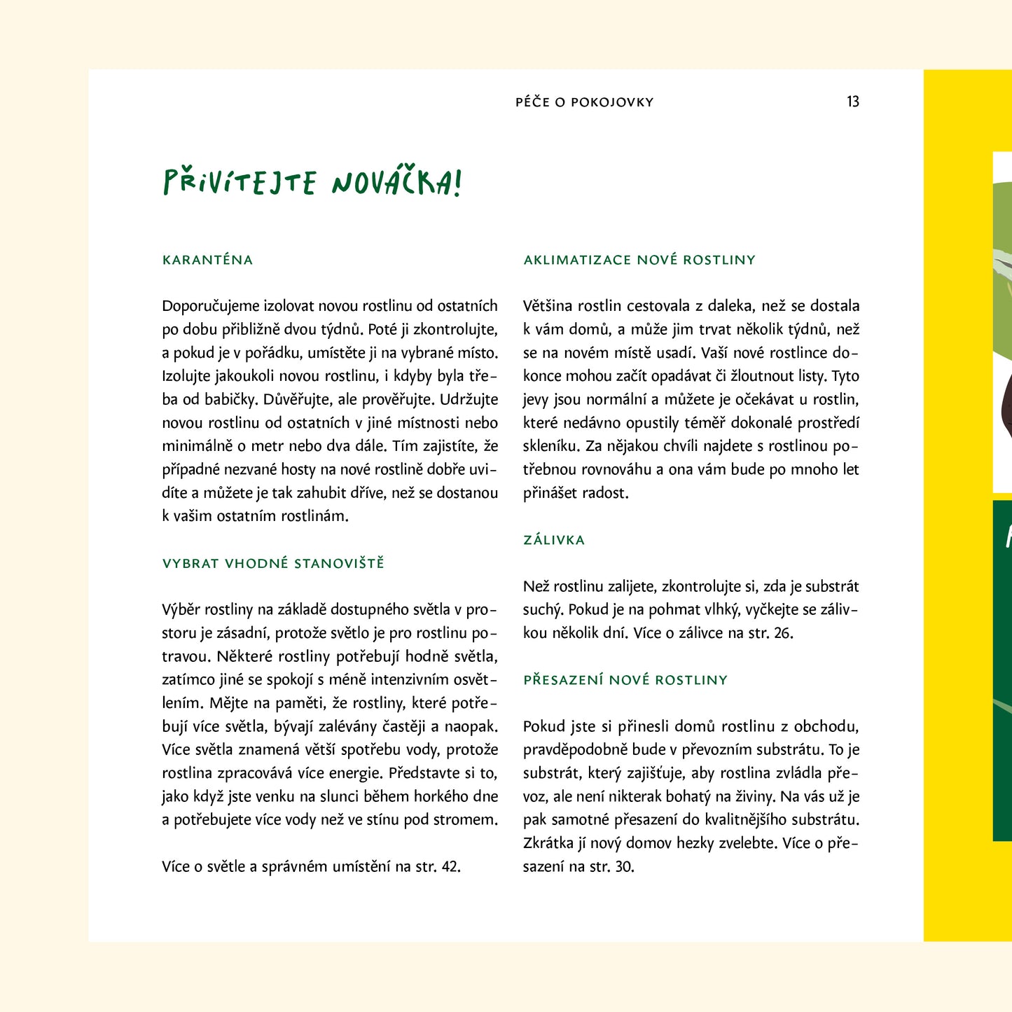 Naše kniha: Dej mi pokojovku