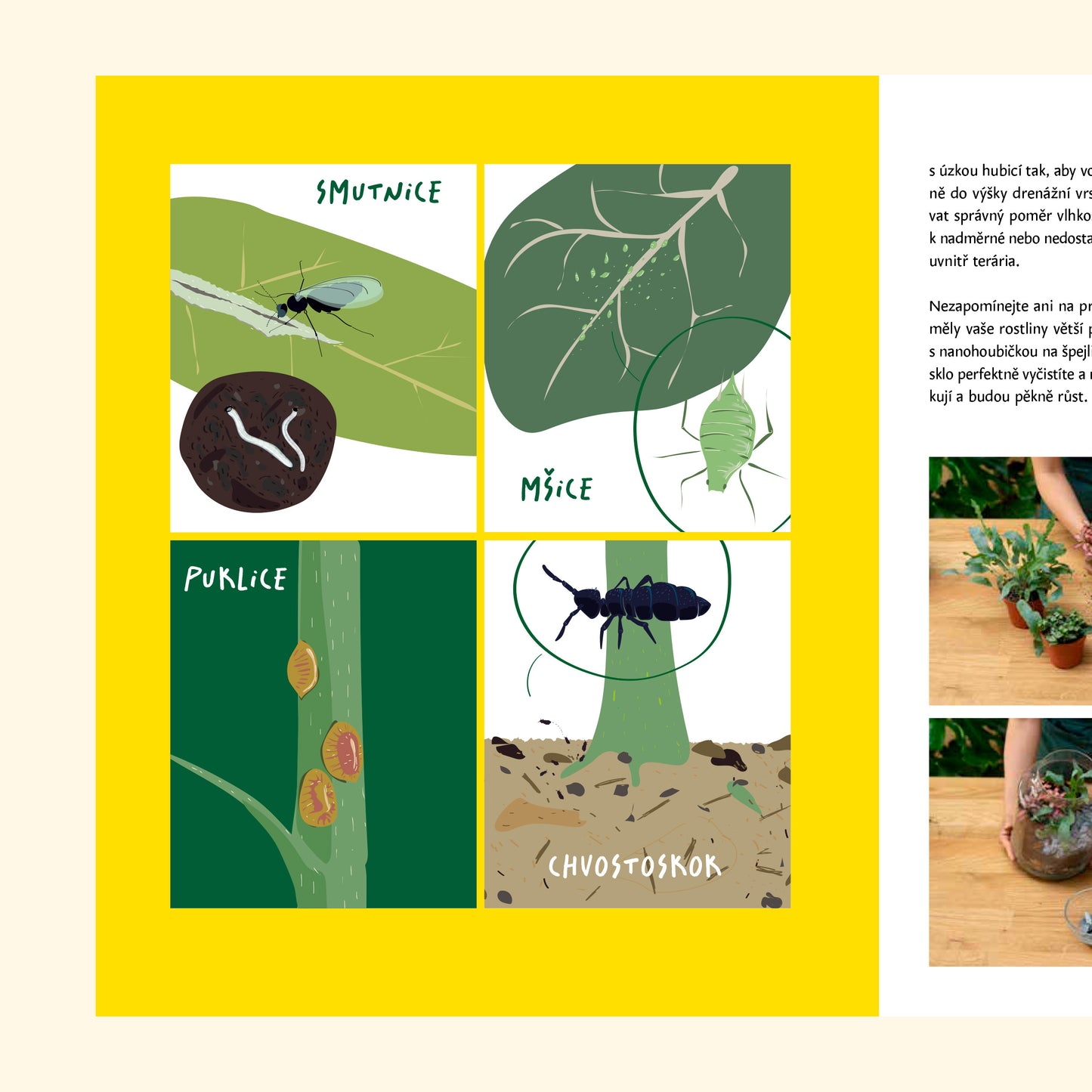 Naše kniha: Dej mi pokojovku