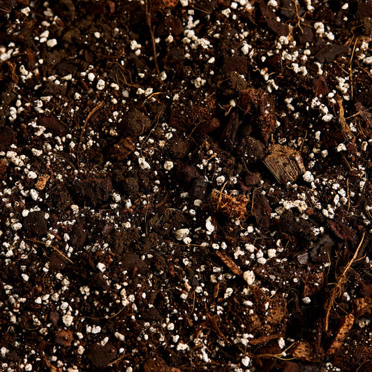 Náš substrát bez rašeliny - Aroid