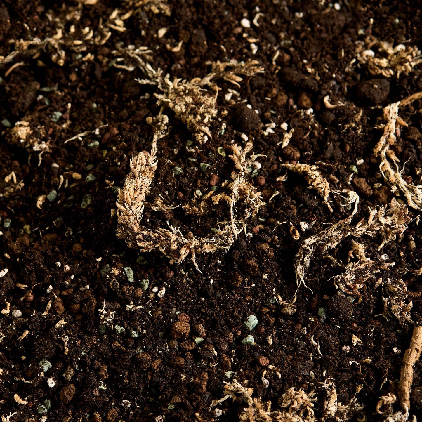 Náš substrát na kokedamu bez rašeliny