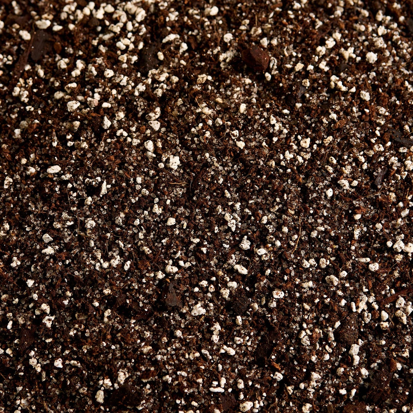 Náš substrát bez rašeliny - Modlivky